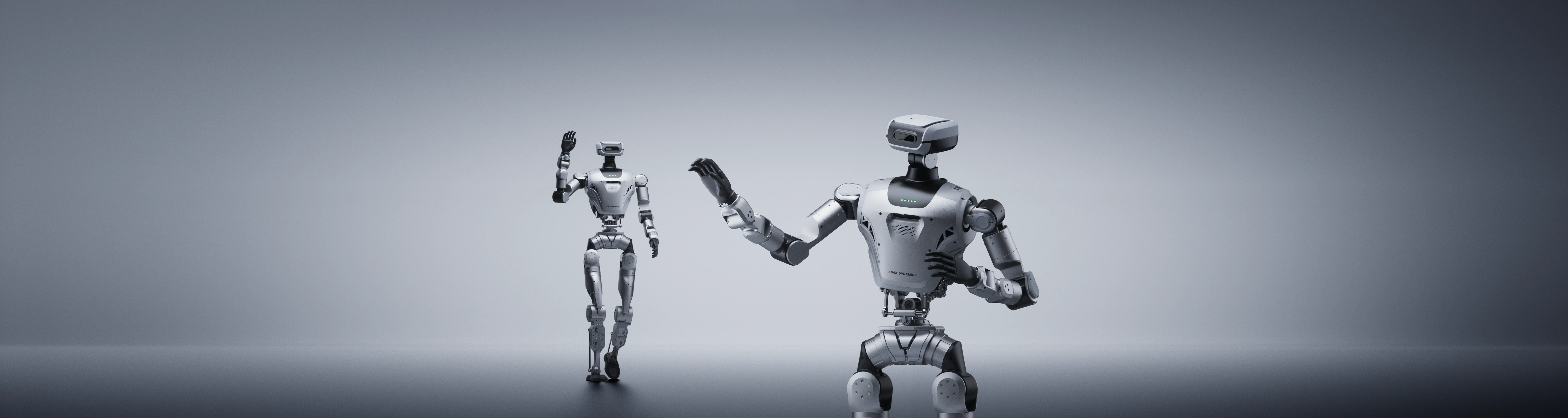 LimX Dynamics Oli - LimX Dynamics