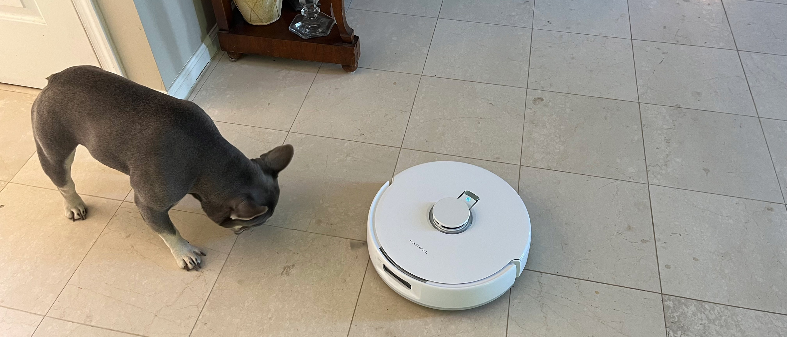 Narwal Freo X Ultra - Narwal